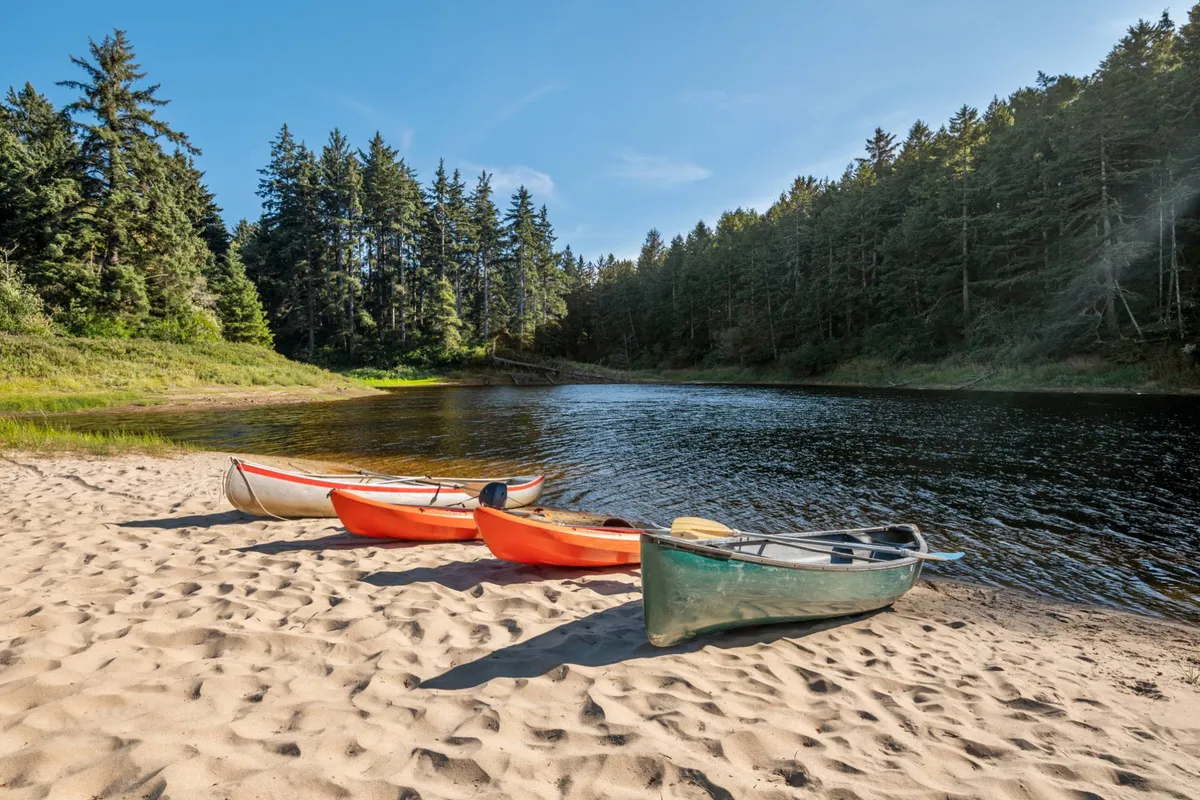 This image features colorful canoes resting on the sandy beach beside calm lake water, with a backdrop of dense trees. The serene setting captures both the water and the natural, playful environment.