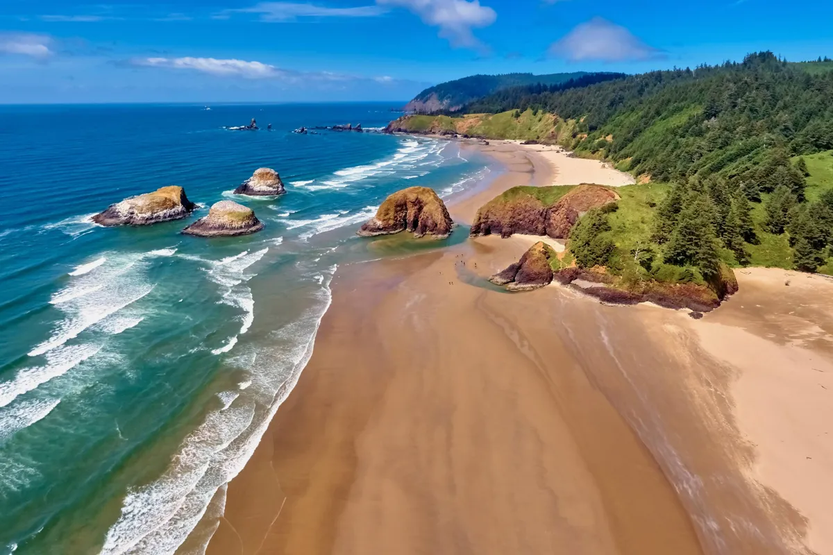 This coastal view captures dramatic rock formations rising from a sandy beach, with ocean waves crashing nearby and a backdrop of forested hills and a clear blue sky. The image embodies the wild beauty of the Oregon coastline, inviting thoughts of exploration, beachcombing, and enjoying scenic vistas.